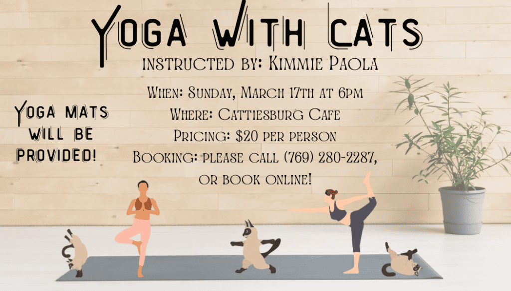 Yoga with Cats