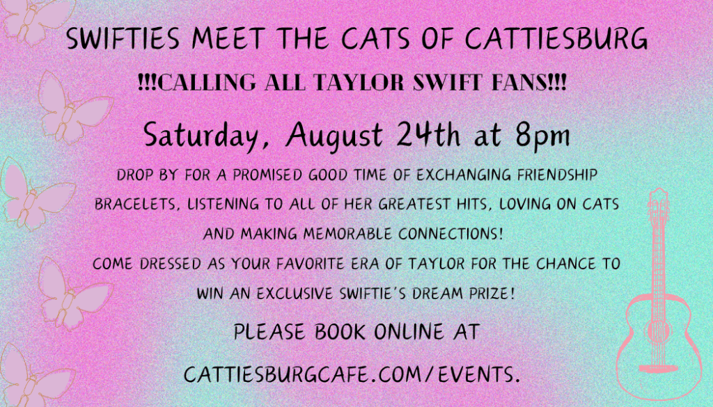 Taylor Swift Meet Up Party