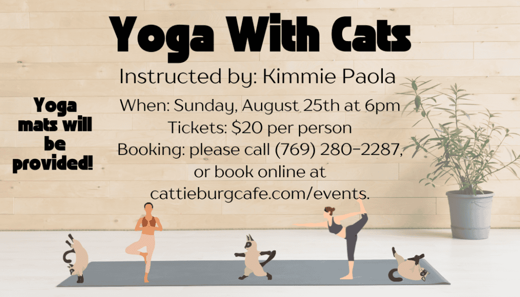 Yoga with Cats