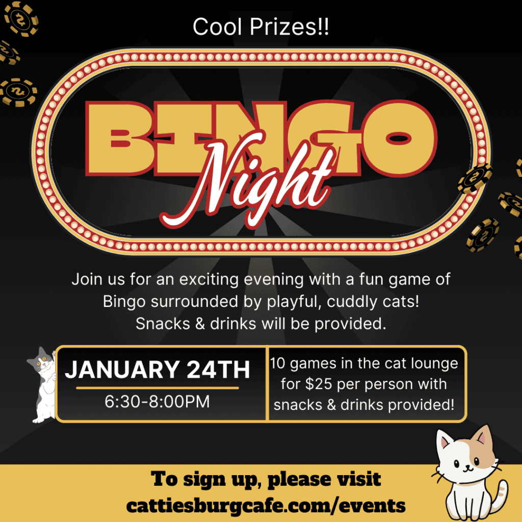 Bingo with Cats!