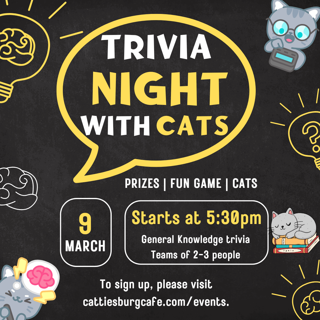General Knowledge Trivia with Cats