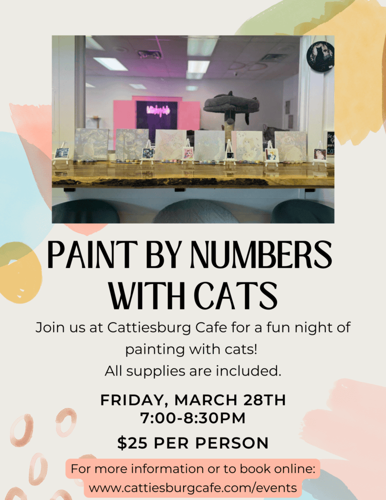 Paint By Numbers with Cats