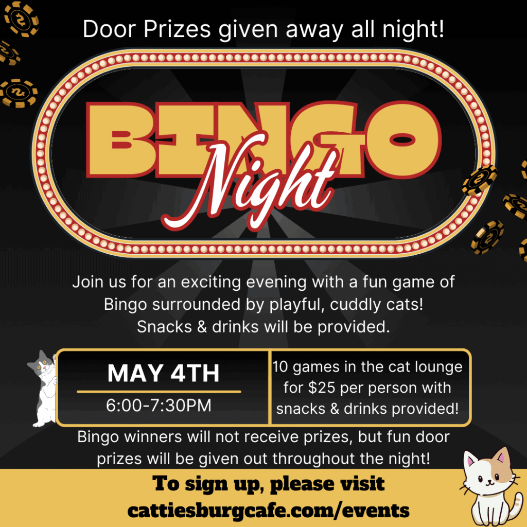 Bingo Night with Cats