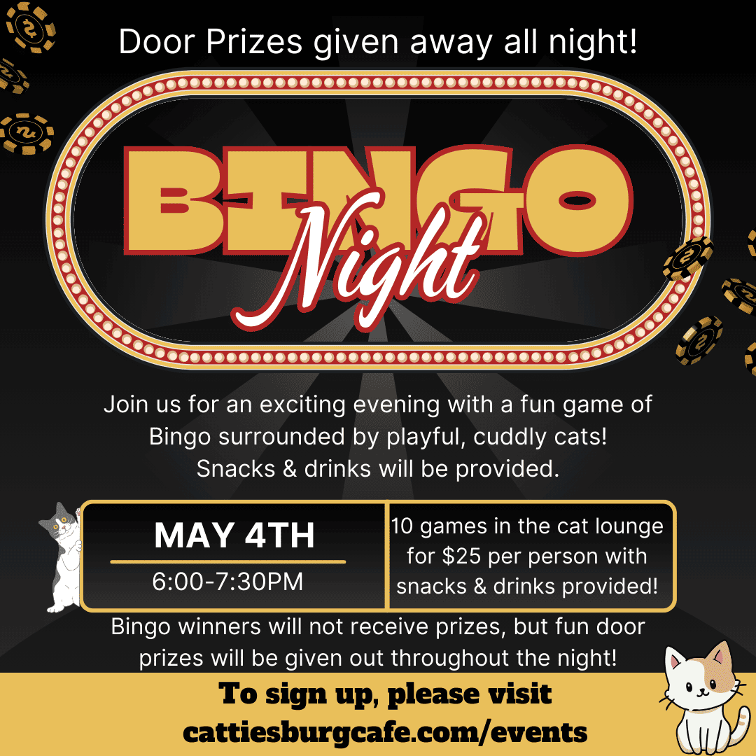 Bingo Night with Cats