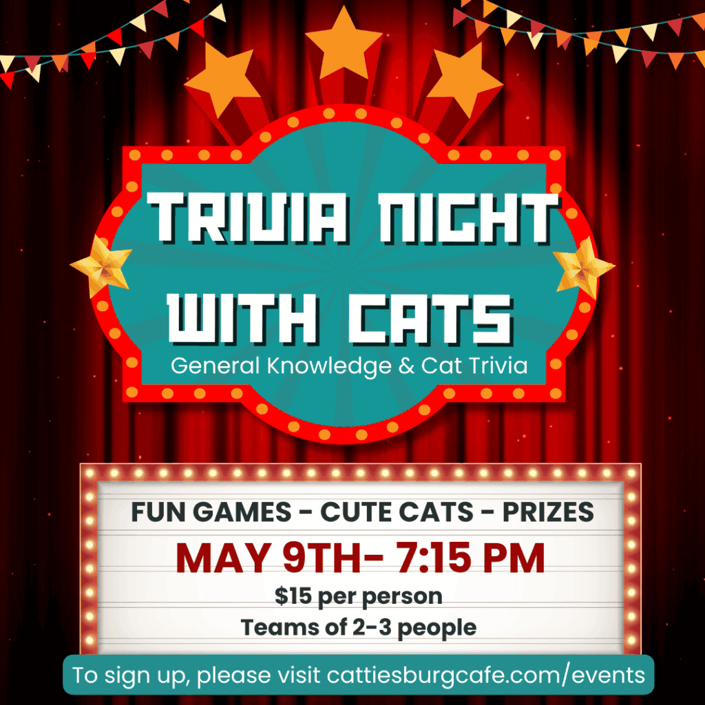 Trivia Night with Cats