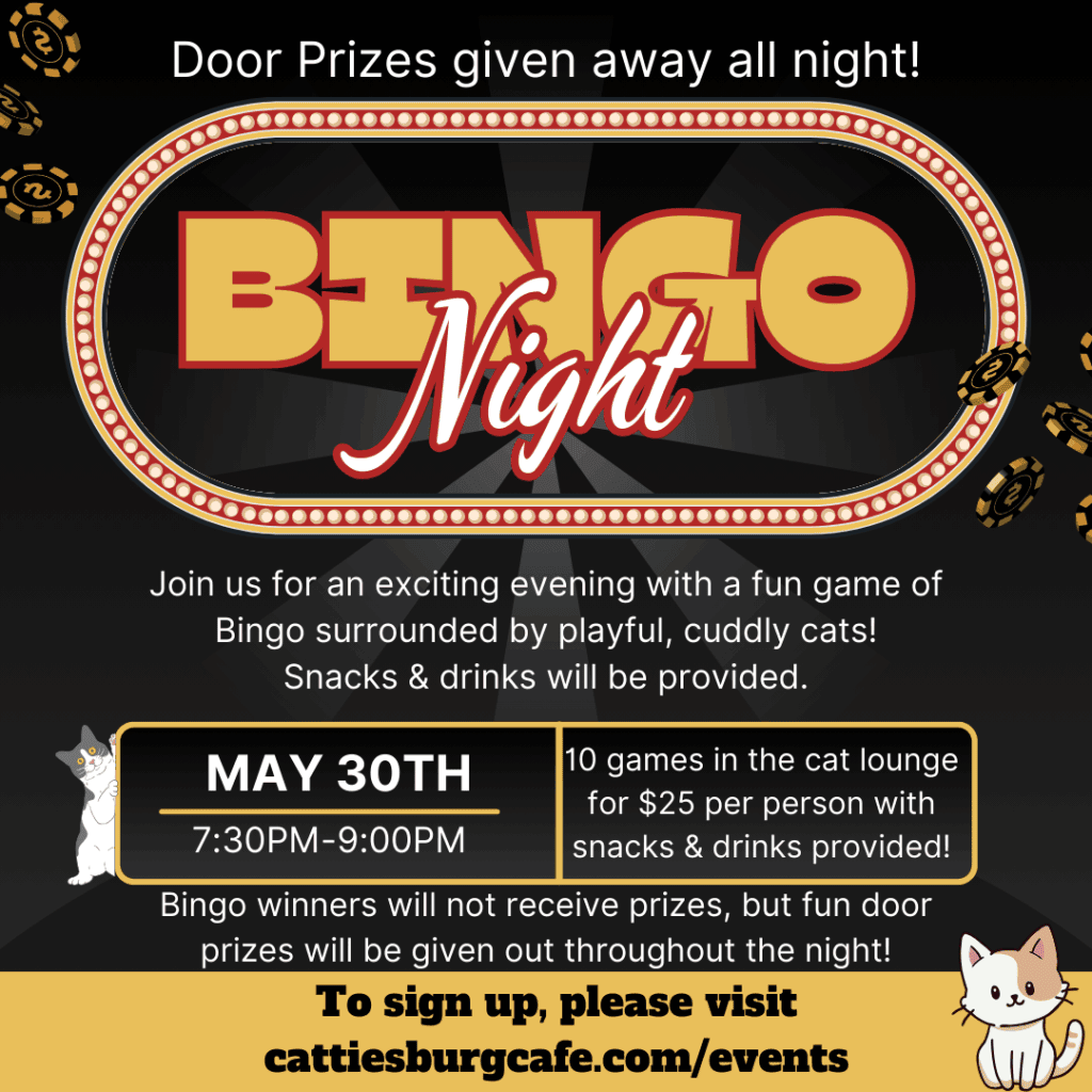 Bingo Night with Cats