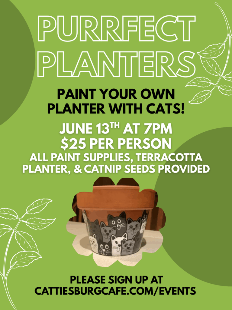 Purrfect Planters