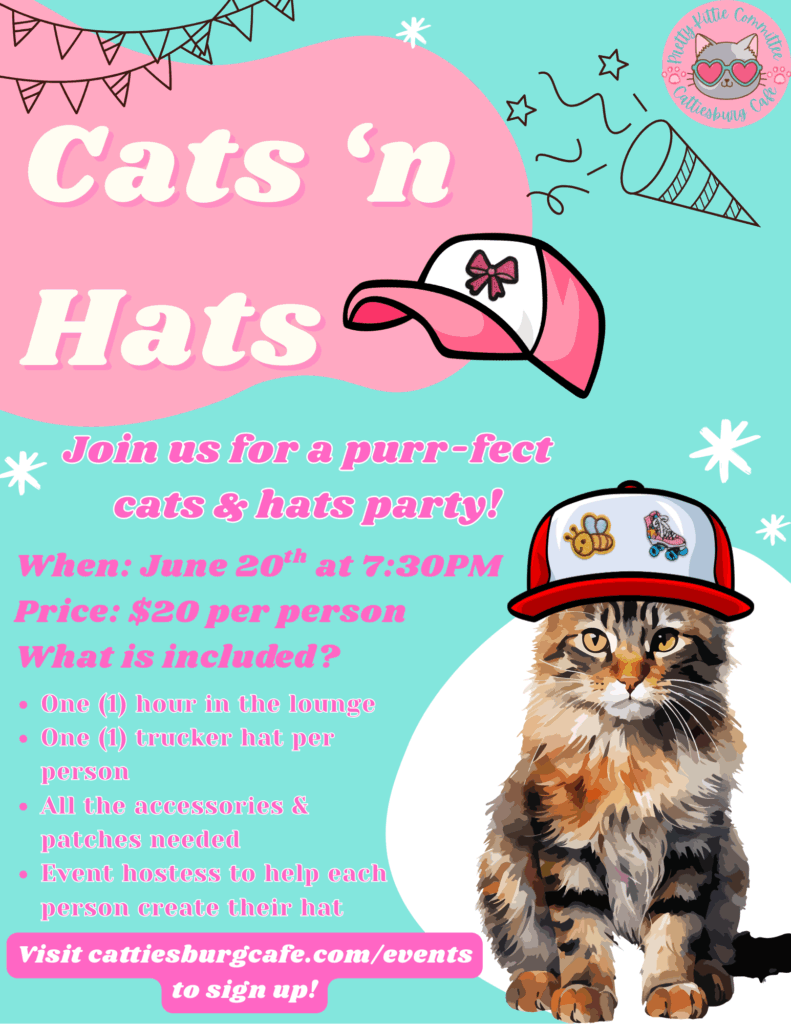 Cats 'N Hats Party