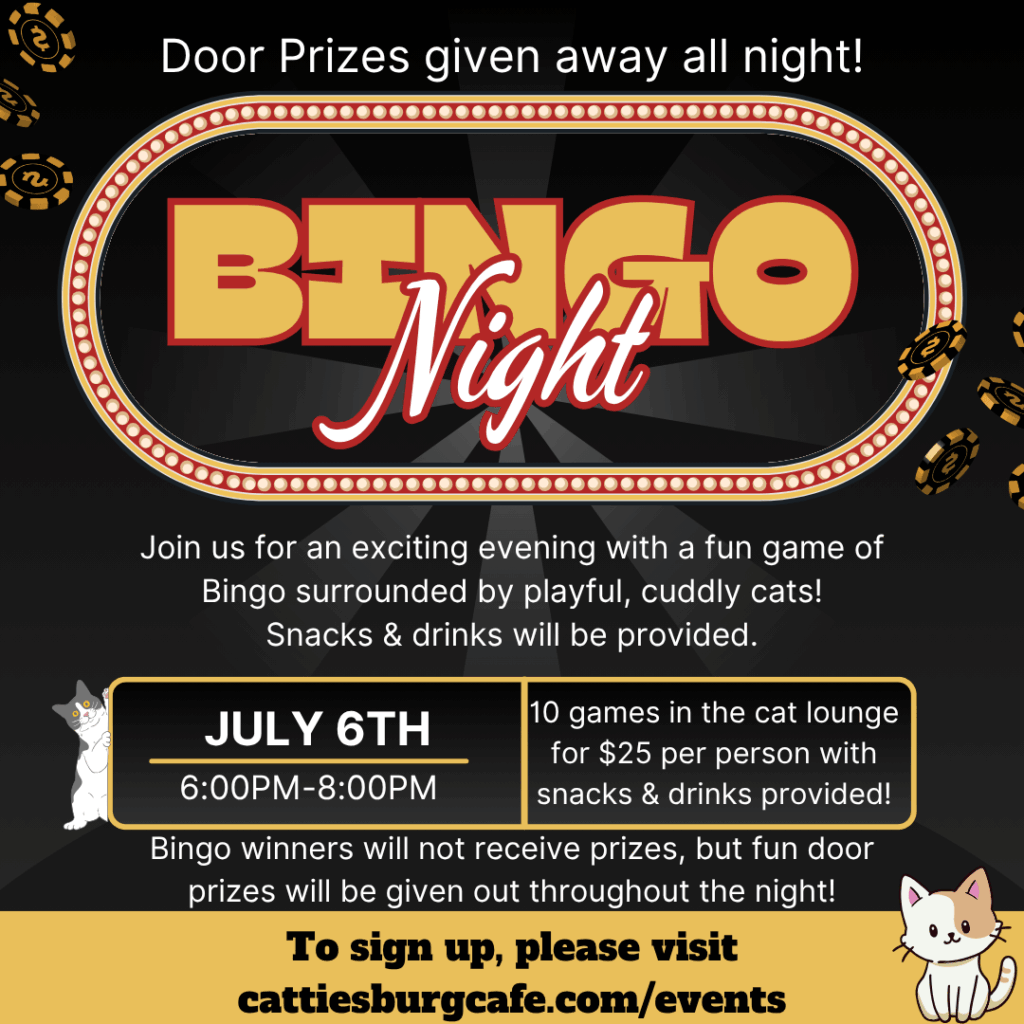 Bingo Night with Cats