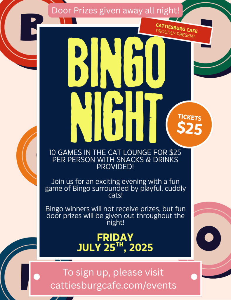 Bingo Night with Cats