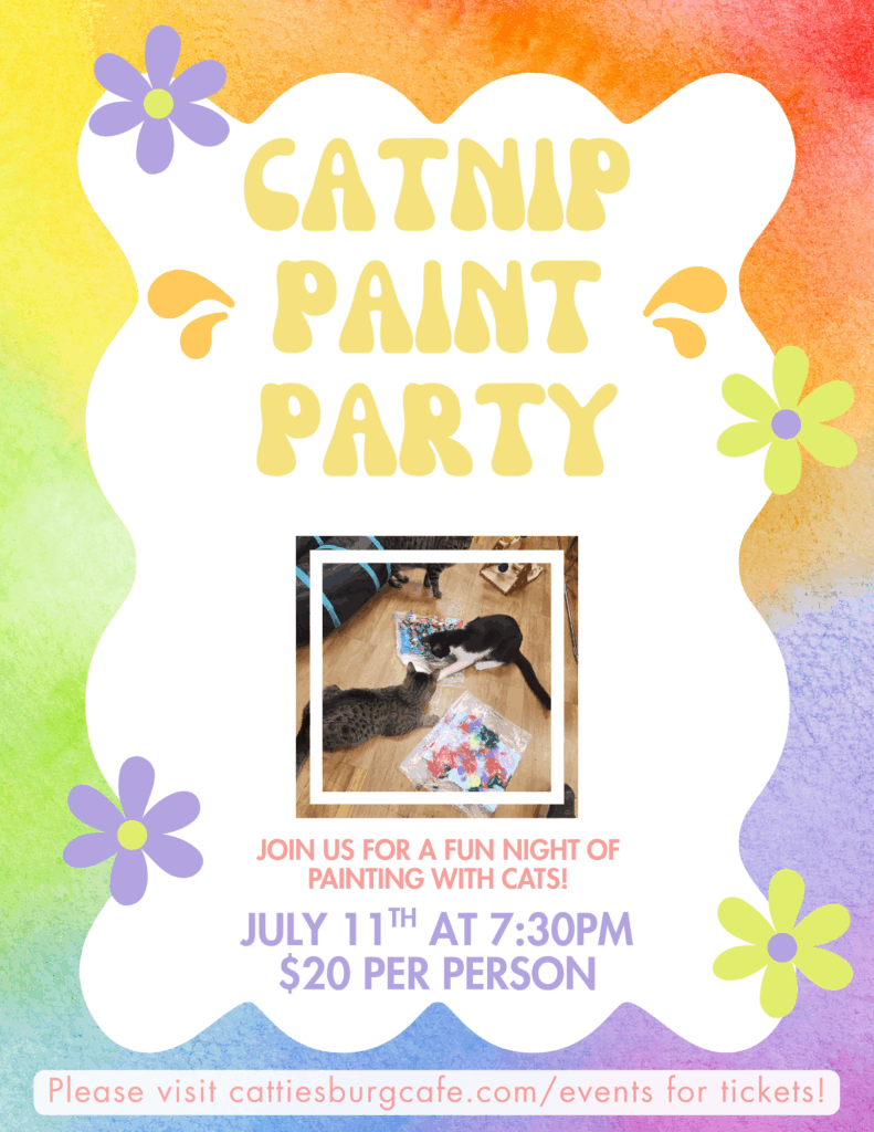Catnip Painting Party