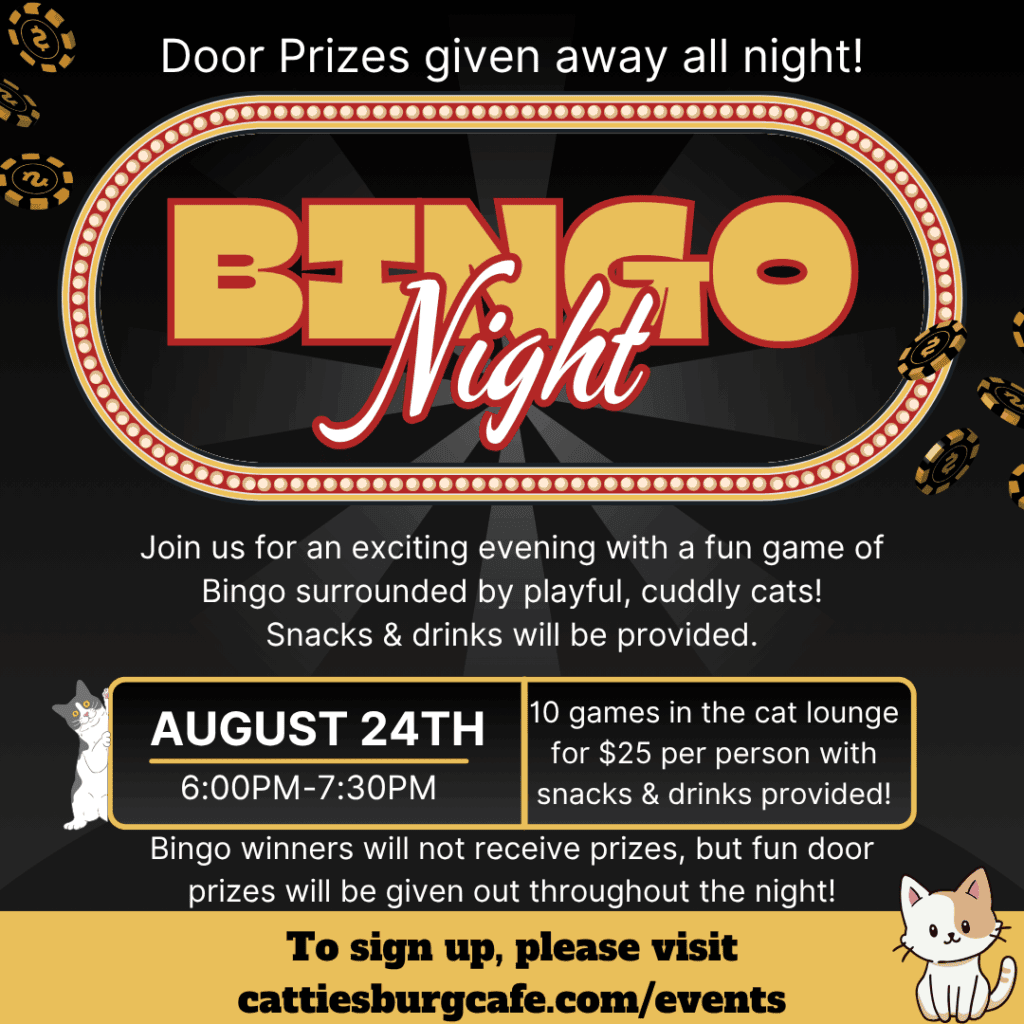 Bingo Night with Cats