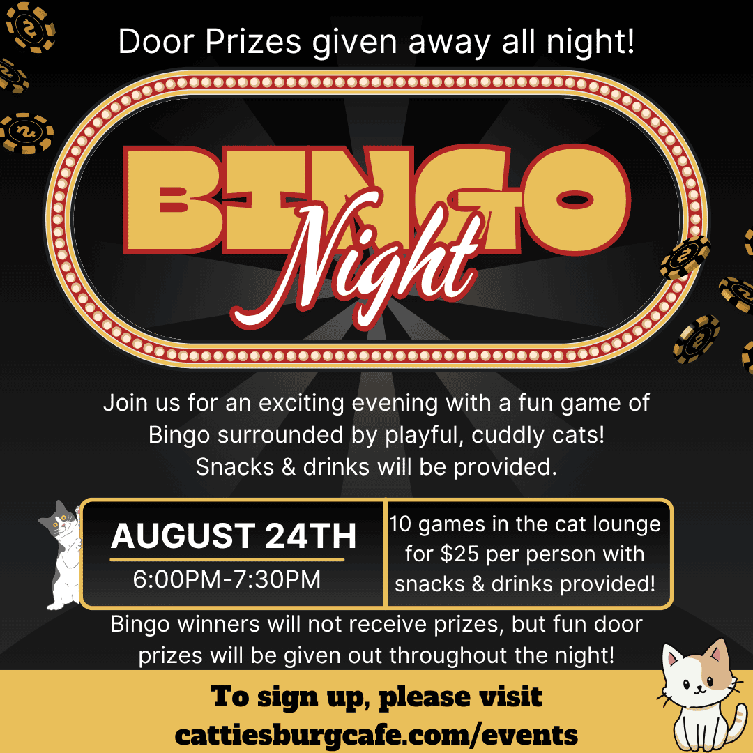 Bingo Night with Cats