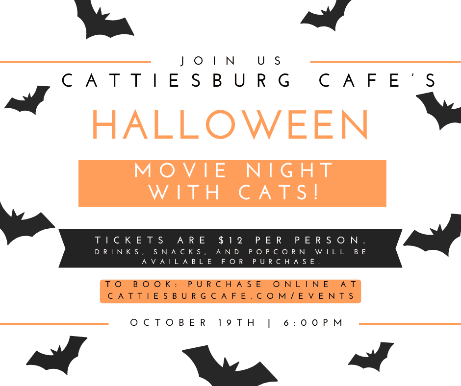 Halloween Movie Night with Cats