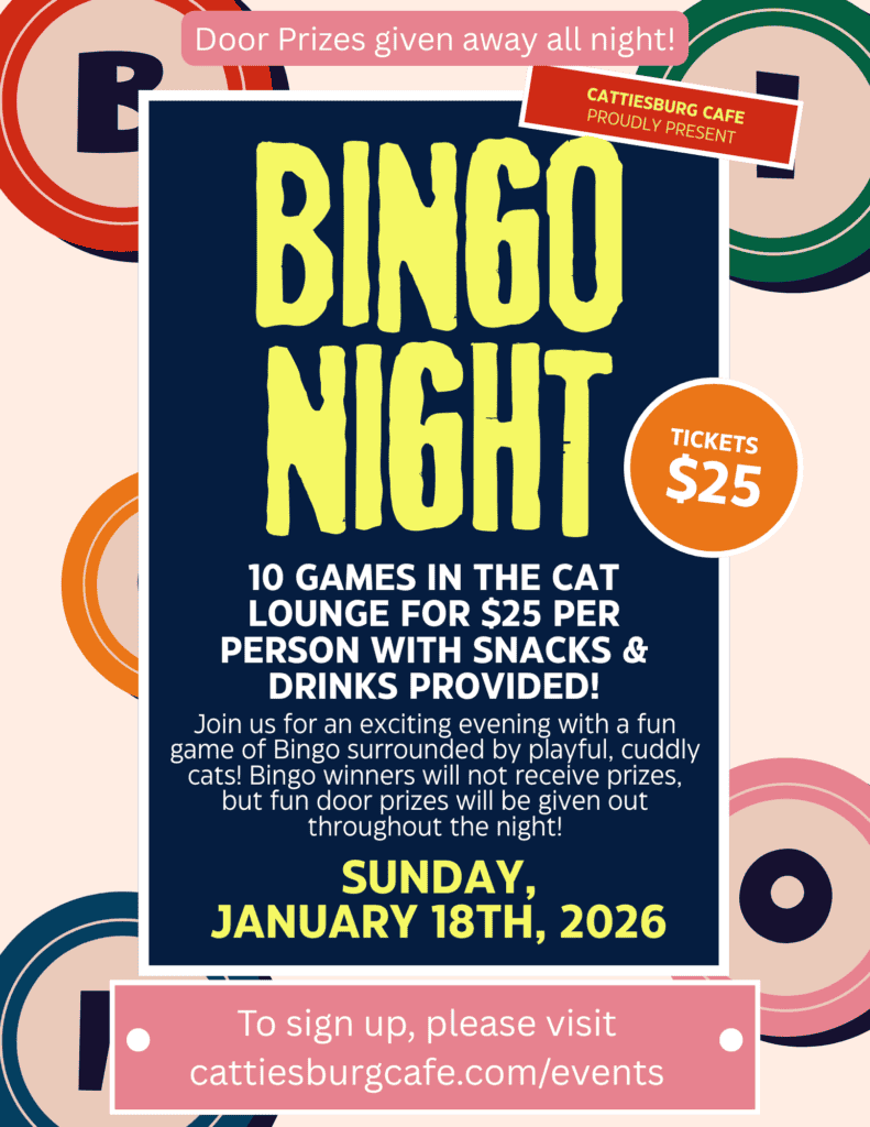 Bingo Night with Cats