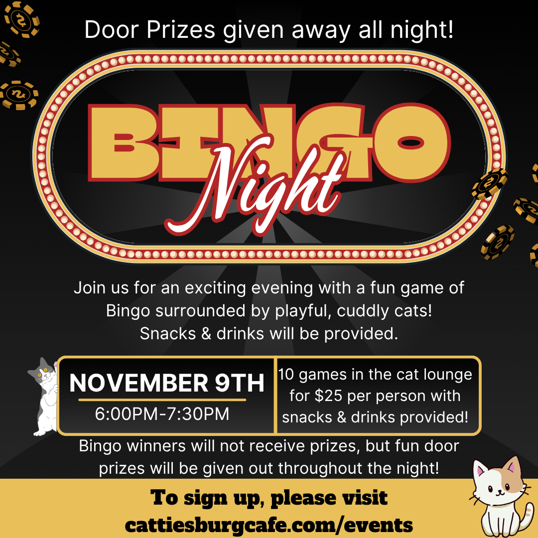 Bingo Night with Cats