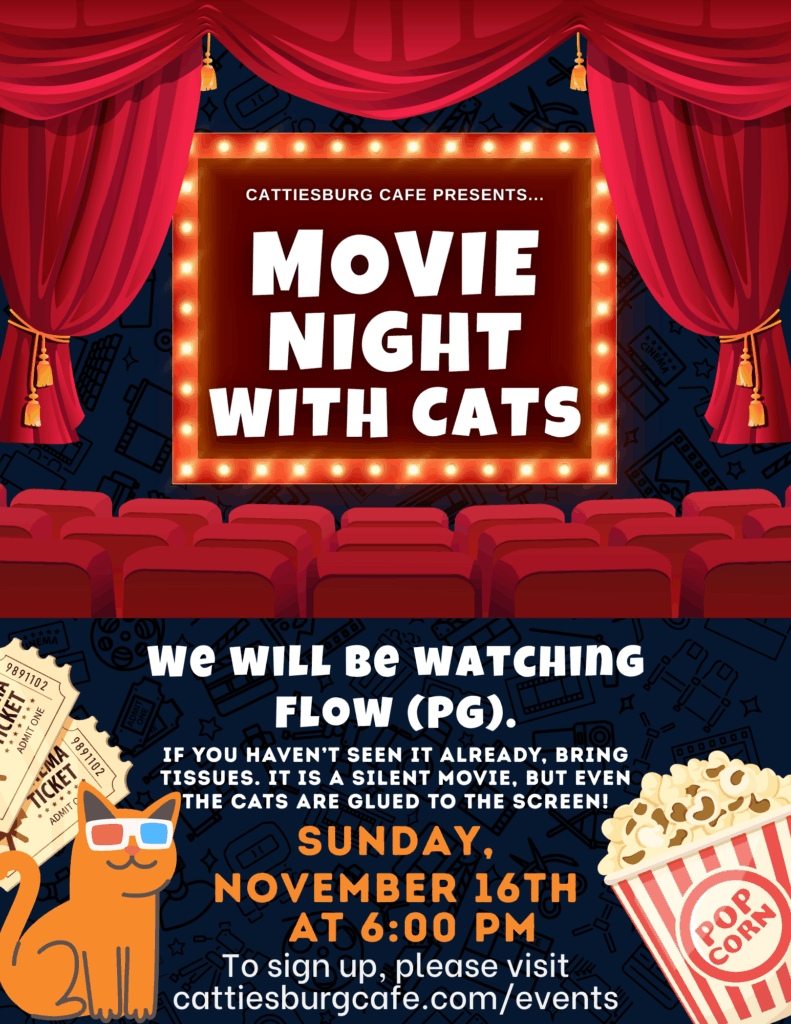 Movie Night with Cats