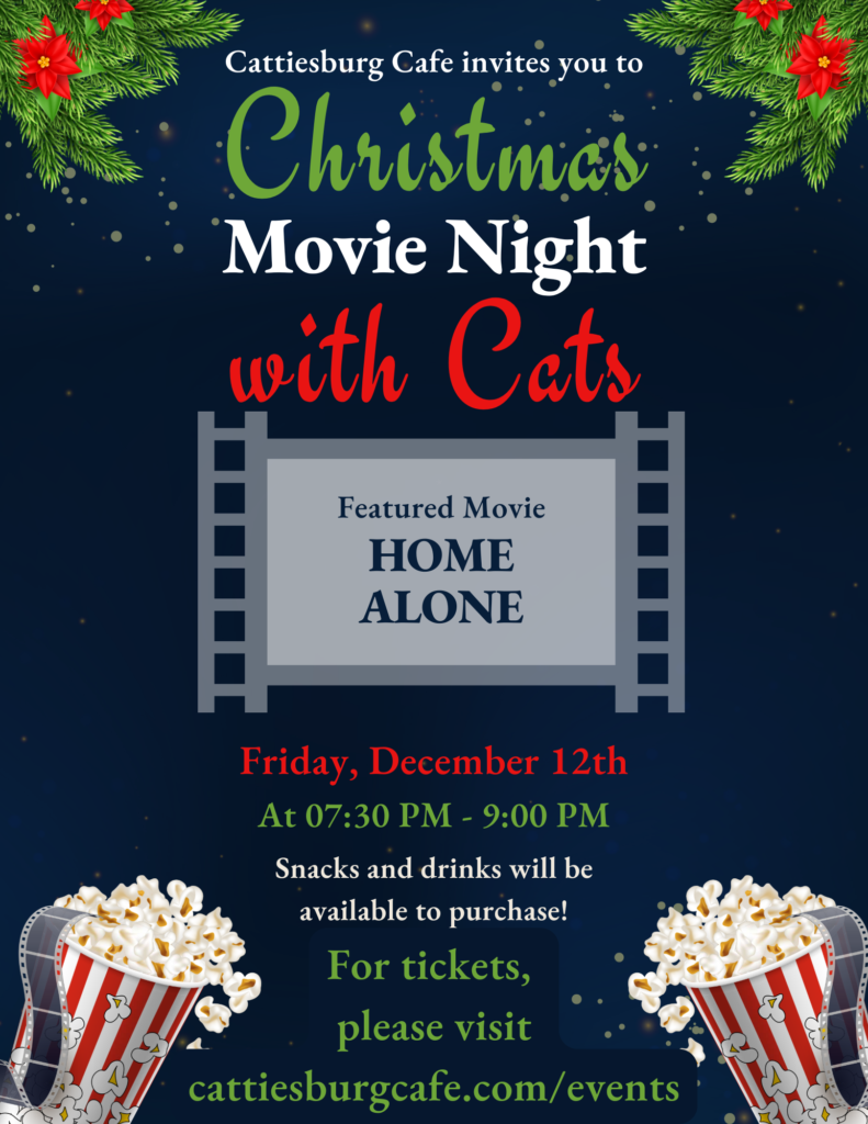 Christmas Movie Night